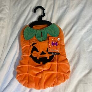Dog Pumpkin Halloween Costume